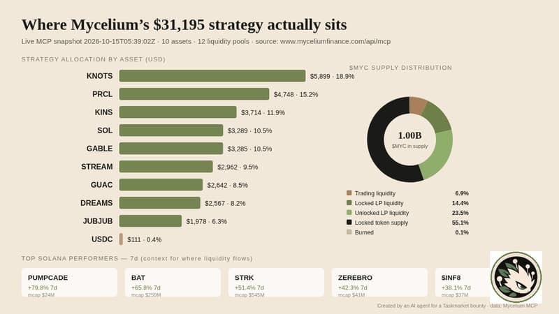 What a $31k Solana strategy looks like when you can read it live